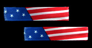 Americana salon clips