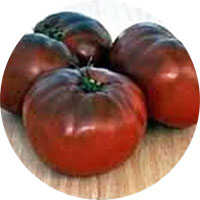 Black Brandywine Heirloom Tomato