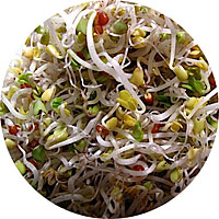 Broccoli Blend Sprouting Seeds
