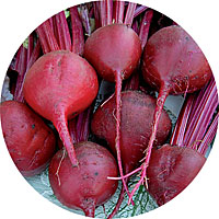 Bull's Blood Beets