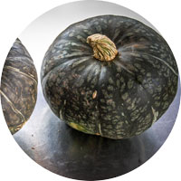 Burgess Buttercup Winter Squash