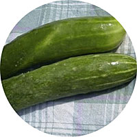 Garden Sweet Burpless Cucumber