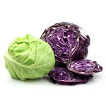 Cabbage