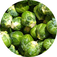 Catskill Brussel Sprouts