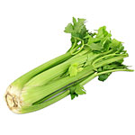 Celery