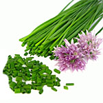 Chives
