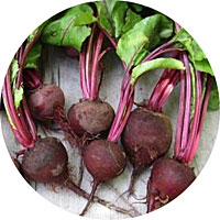 Crosby's Egyptian Beets