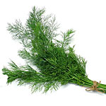 Dill Seeds
