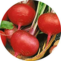 Early Wonder Beets