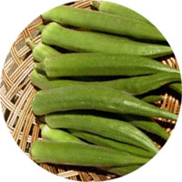 Emerald Okra
