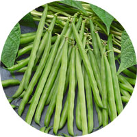 French Garden Beans