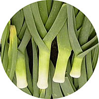 Giant Musselburg Leeks