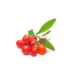 Goji Berries