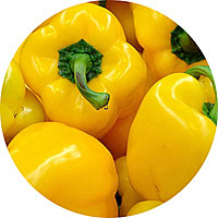 Golden California Wonder Sweet Pepper