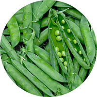 Green Arrow Peas