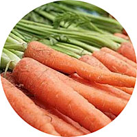 Imperator 58 Carrots