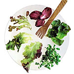 Leaf Lettuce