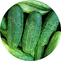 Marketmore Cucumber