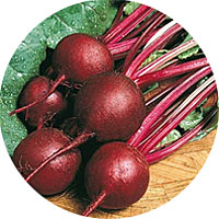 Ruby Queen Beets
