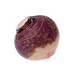 Rutabaga