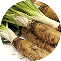 Salsify