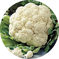 Snowball Cauliflower