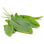 Sorrel Seeds