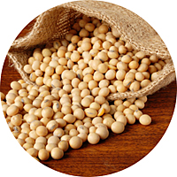 Soy Beans