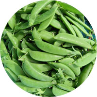 Sugar Snap Peas
