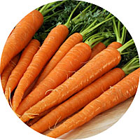 Tendersweet Carrots