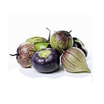 Tomatillo
