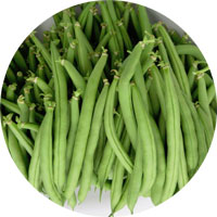 Top Crop Bush Beans