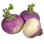 Turnip