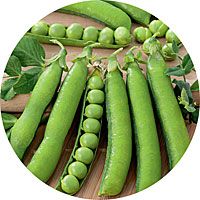 Wando Peas
